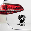 2Pac Bandana Schriftzug Aufkleber - Beispielansicht