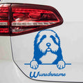 aufkleber-bearded-collie-blau