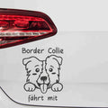 aufkleber-border-collie-faehrt-mit-schwarz