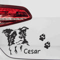 aufkleber-border-collie-mit-wunschname-pfoten-schwarz