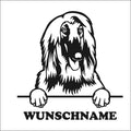 aufkleber-portrait-afganischer-windhund