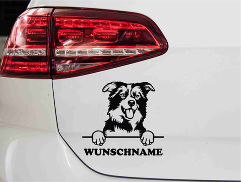 aufkleber-portrait-border-collie-schwarz