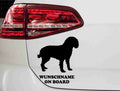 aufkleber-silhouette-american-water-spaniel-schwarz