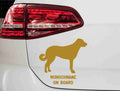 aufkleber-silhouette-anatolian-shepherd-gold