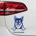 swedishvallhund-vaestgoetaspets-hund-mit-wunschname-blau