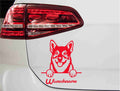 swedishvallhund-vaestgoetaspets-hund-mit-wunschname-rot